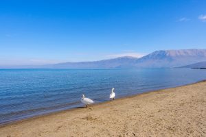 Ohrid-spiaggia sabbiosa